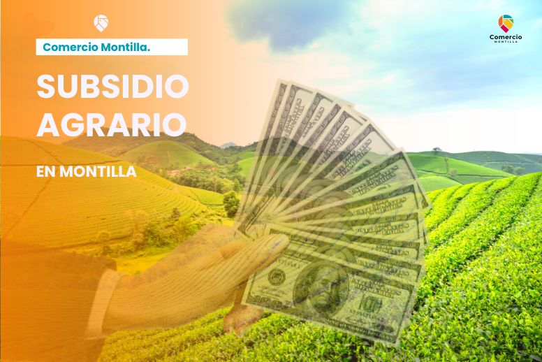 3 noticias sobre el subsidio agrario: quién puede pedirlo y cuánto es