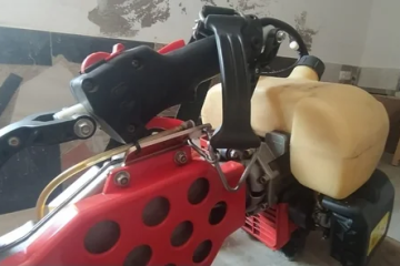 vibrador de aceitunas alrededor de montilla cordoba